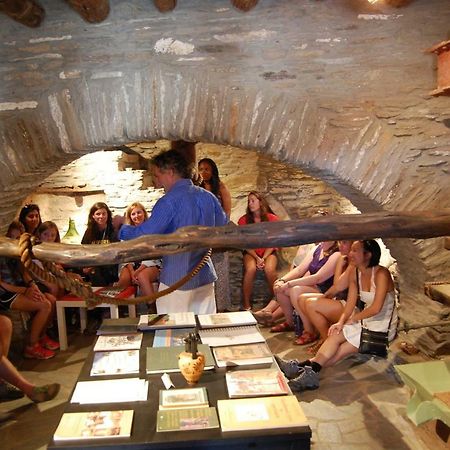 Cyclades Olive Museum'S Guest House Pitrofos Ngoại thất bức ảnh