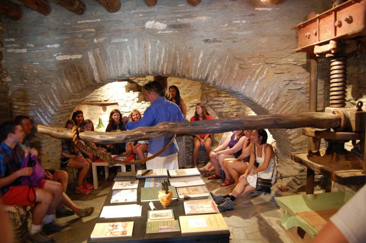 Cyclades Olive Museum'S Guest House Pitrofos Ngoại thất bức ảnh