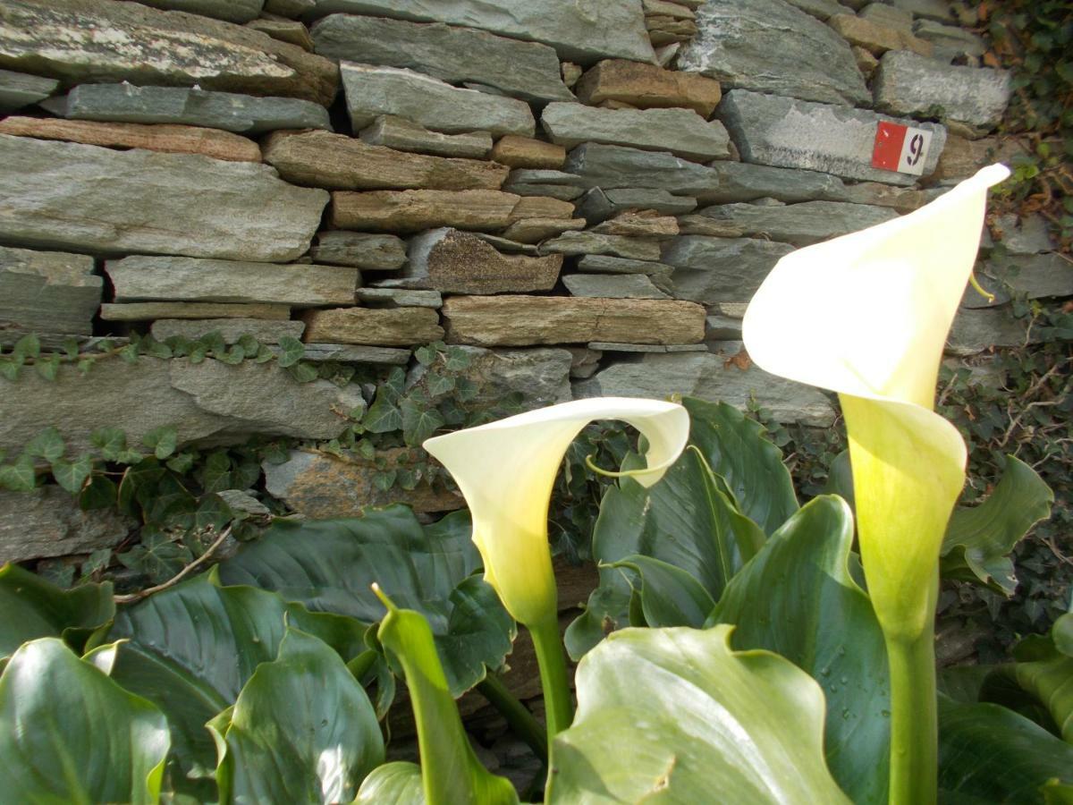 Cyclades Olive Museum'S Guest House Pitrofos Ngoại thất bức ảnh