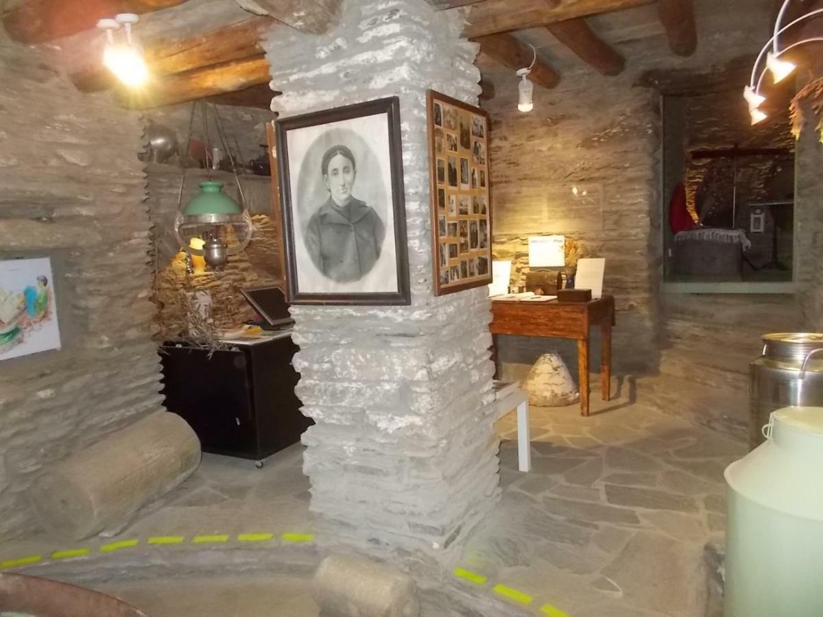 Cyclades Olive Museum'S Guest House Pitrofos Ngoại thất bức ảnh