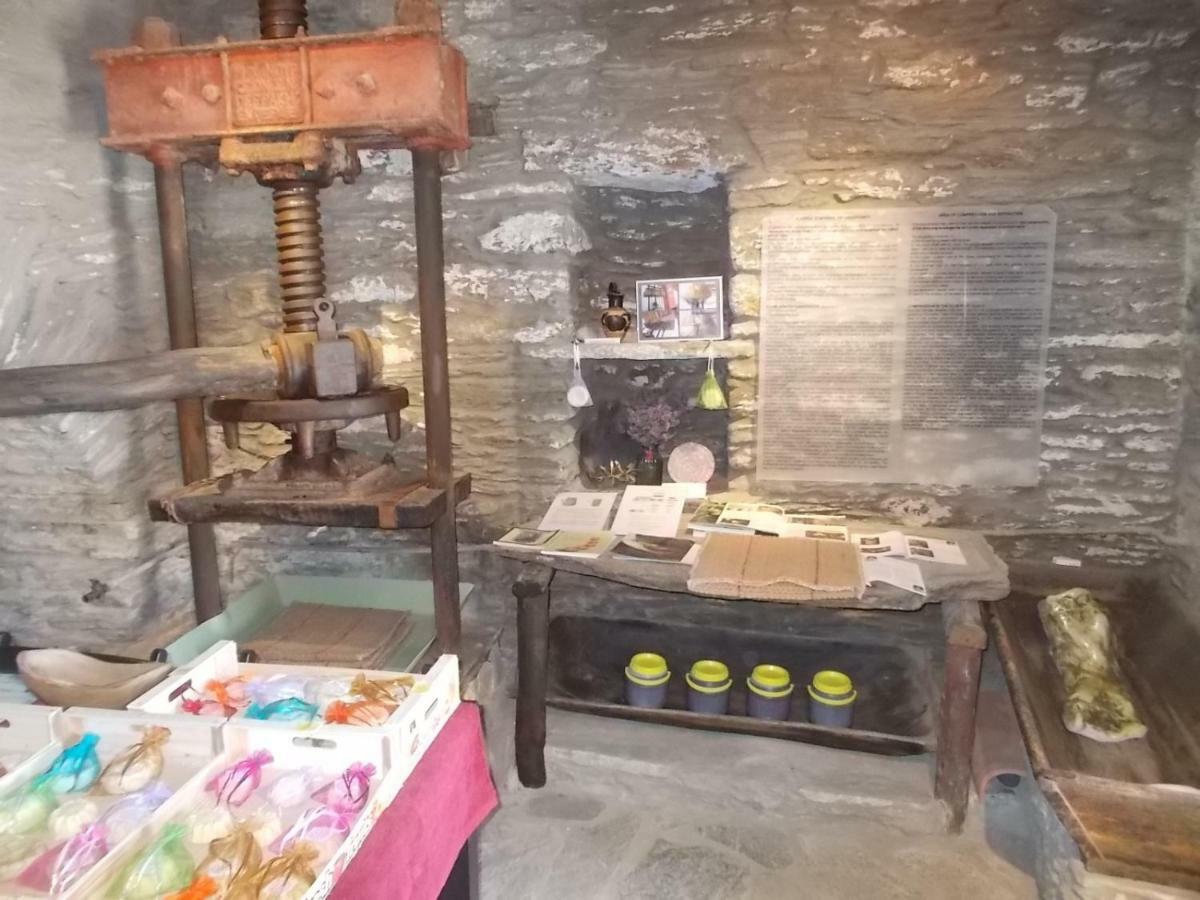 Cyclades Olive Museum'S Guest House Pitrofos Ngoại thất bức ảnh